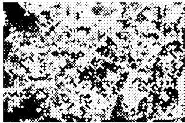 Soyut arkaplan. Monokrom dokusu. Siyah ve beyaz desenli arkaplan.