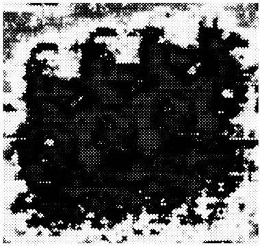 soyut siyah ve beyaz grunge arkaplanı