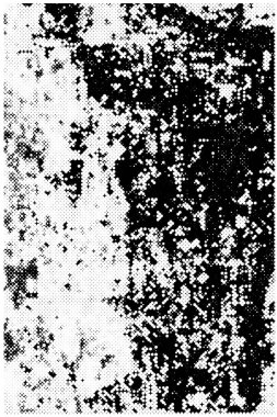 Grunge dokusu. Tehlike arka planı. pürüzlü doku. Gürültü pis grunge dokusu. vektör illüstrasyonu