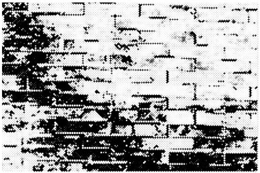 Çizik ve çiziklerle dolu siyah beyaz bir arka plan. Soyut vektör illüstrasyonu.