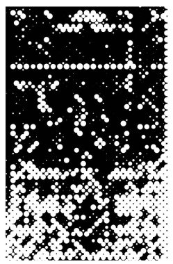 Siyah ve beyaz element vektör illüstrasyonlu desen