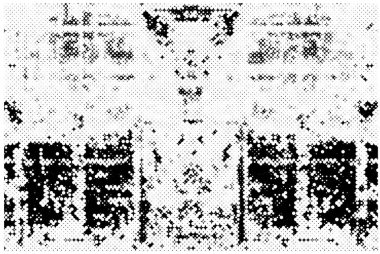 Siyah ve beyaz element vektör illüstrasyonlu desen