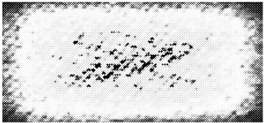 Soyut grunge arkaplanı. Monokrom dokusu. Siyah beyaz arkaplan