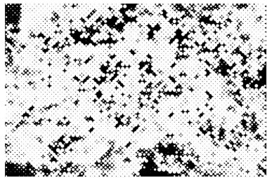 Soyut arkaplan. Monokrom dokusu. Siyah ve beyaz desenli arkaplan. 