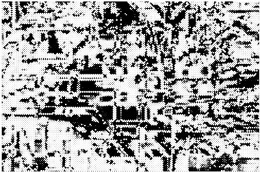 Soyut arkaplan. Monokrom dokusu. Siyah ve beyaz desenli arkaplan. 