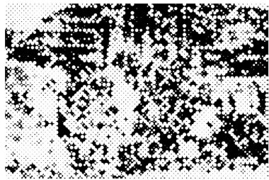 Siyah ve beyaz dokular. Soyut grunge arkaplanı. vektör illüstrasyonu