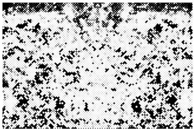 Siyah ve beyaz dokular. Soyut grunge arkaplanı. vektör illüstrasyonu