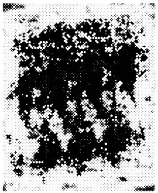 Soyut arkaplan. Monokrom dokusu. Siyah ve beyaz desenli arkaplan. 