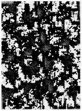 Grunge üst üste biniyor. Soyut siyah ve beyaz vektör arkaplanı.