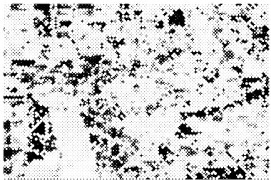 Soyut siyah-beyaz vektör arkaplanı. Kirli desenli tek renkli vintage yüzey.