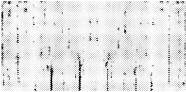 Grunge üst üste biniyor. Soyut siyah-beyaz vektör arkaplanı. Çatlaklarda, noktalarda, noktalarda kirli desenli tek renkli vintage yüzey. 