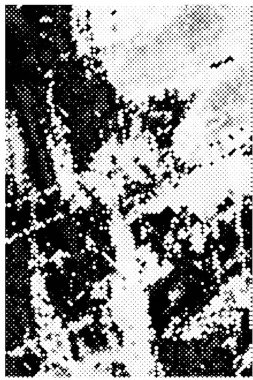 Siyah ve beyaz element vektör illüstrasyonlu desen