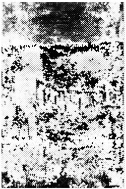 siyah ve beyaz grunge soyut arka plan. vektör illüstrasyonu.         