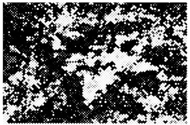 siyah ve beyaz grunge soyut arka plan. vektör illüstrasyonu.         