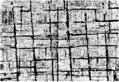 tasarım, vektör illüstrasyonu için siyah ve beyaz dekoratif arkaplan  