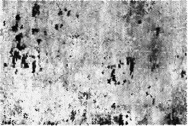 tasarım, vektör illüstrasyonu için siyah ve beyaz dekoratif arkaplan  