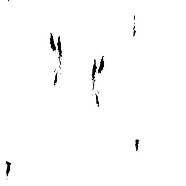 black and white abstract ethnic background 