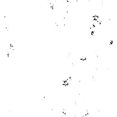 Soyut siyah-beyaz grunge arka planı. monokrom dokusu.