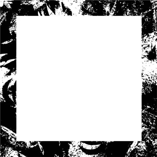 Black White Grunge Frame Background Texture — Stok Vektör