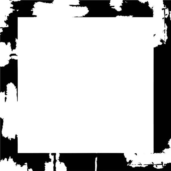 Monochroom Frame Abstracte Zwart Wit Achtergrond Vectorillustratie — Stockvector