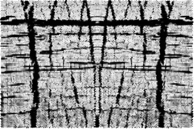  Vektör çizimi. soyut dekoratif arkaplan, siyah ve beyaz doku. 