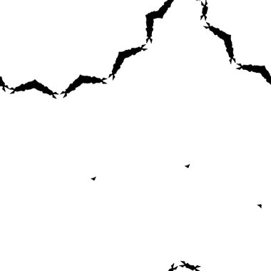 Kusursuz çiçek deseni. Siyah beyaz arka plan. monokrom vektör illüstrasyonu. 