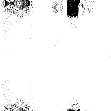 Bir ayının siyah beyaz fotoğrafı.