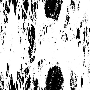 Bir ağacın siyah beyaz fotoğrafı.