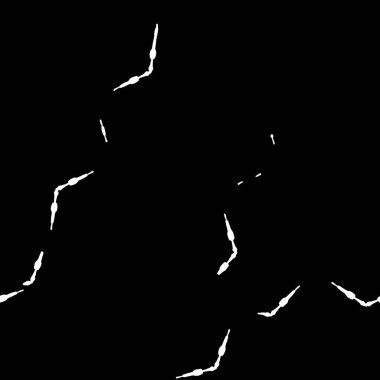 siyah ve beyaz geometrik mandala arkaplanı