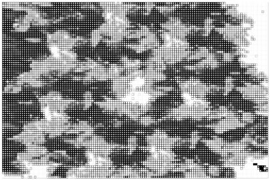 Güney Amerika Haritası