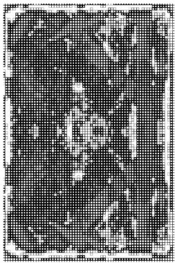 Kareli siyah beyaz desenlerin vektör illüstrasyonu