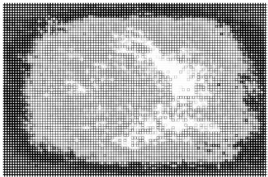 siyah ve beyaz monokrom arkaplan soyut doku 
