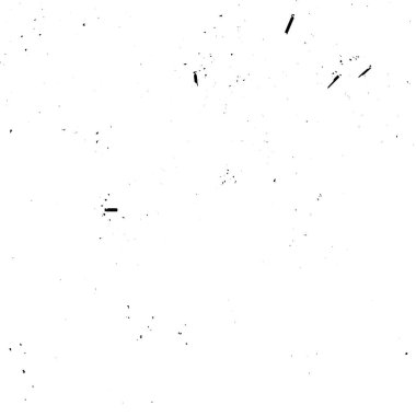 Soyut arkaplan. Monokrom dokusu. Resim siyah ve beyaz tonları içerir