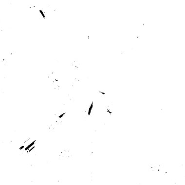 Soyut arkaplan. Monokrom dokusu. Resim siyah ve beyaz tonları içerir.