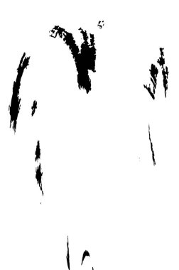 soyut siyah ve beyaz desenli arkaplan