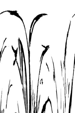 soyut monokrom desenli arkaplan