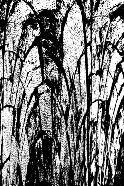 soyut monokrom desenli arkaplan