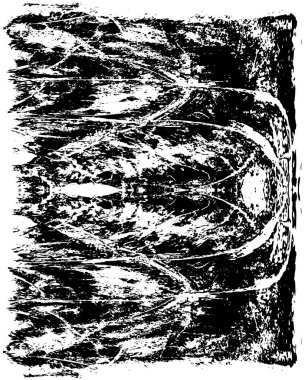 soyut monokrom desenli arkaplan