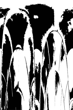 desenli arkaplanı olan siyah ve beyaz çizimler