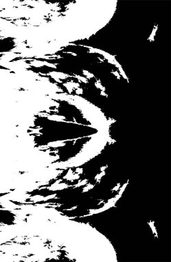 Eski rustik grunge arkaplan, soyut siyah ve beyaz doku