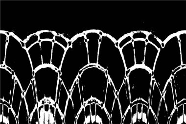 desenli arkaplanı olan siyah ve beyaz çizimler