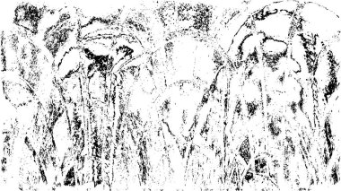 Eski grunge arkaplan vektör çizimi