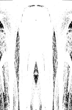 Grunge dikey olarak simetrik siyah beyaz doku. Tek renkli yıpranmış kaplama deseni. 