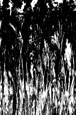 Grunge black and white pattern. Monochrome particles abstract texture. Background of cracks, scuffs, chips, stains, ink spots, lines. Dark design background surface. Gray printing element