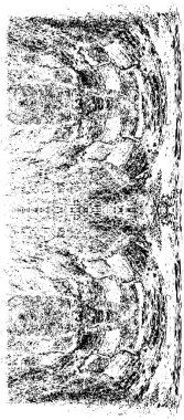 Grunge üst üste biniyor. Soyut siyah-beyaz vektör arkaplanı. Çatlak, leke ve noktalarda kirli desenli tek renkli klasik yüzey. Karanlık korku tarzında eski bir duvar.