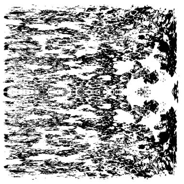 Grunge üst üste biniyor. Soyut siyah-beyaz vektör arkaplanı. Çatlak, leke ve noktalarda kirli desenli tek renkli klasik yüzey. Karanlık korku tarzında eski bir duvar.