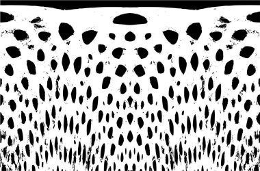 Grunge black and white pattern. Monochrome particles abstract texture. Background of cracks, scuffs, chips, stains, ink spots, lines. Dark design background surface. Gray printing element