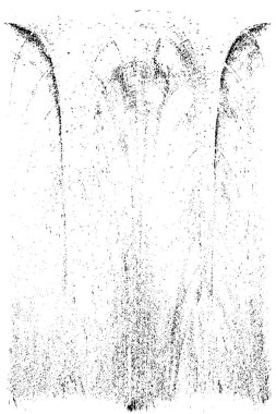 Grunge black and white pattern. Monochrome particles abstract texture. Background of cracks, scuffs, chips, stains, ink spots, lines. Dark design background surface. Gray printing element