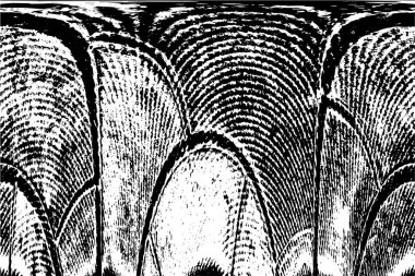 Grunge black and white pattern. Monochrome particles abstract texture. Background of cracks, scuffs, chips, stains, ink spots, lines. Dark design background surface. Gray printing element