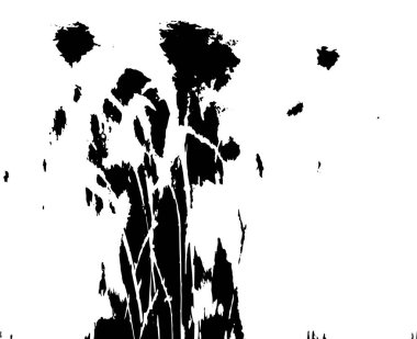 Sert, çizik, sıçramış grunge desenli fırça darbeleri. Dokuları üst üste koy. Siyah-beyaz boyanmış kağıt dokusu. Skeç grunge tasarımı. Poster, kapak, afiş, taklit, çıkartma düzeni için kullan.